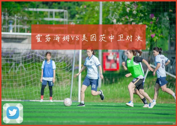 霍芬海姆vs美因茨中卫对决