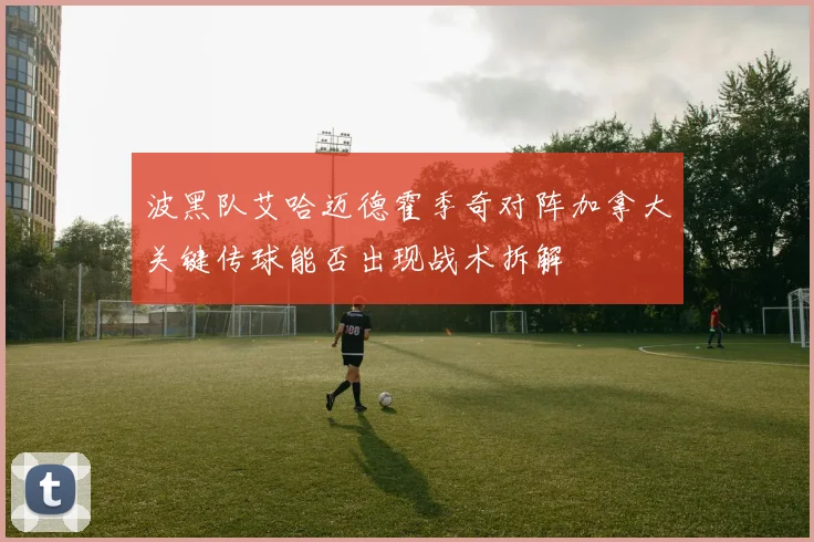 波黑队艾哈迈德霍季奇对阵加拿大关键传球能否出现战术拆解