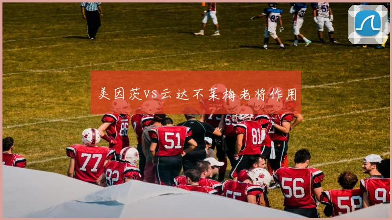 美因茨vs云达不莱梅老将作用