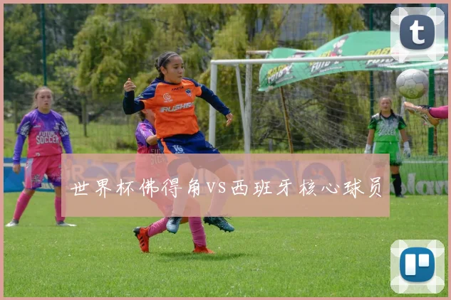 世界杯佛得角vs西班牙核心球员