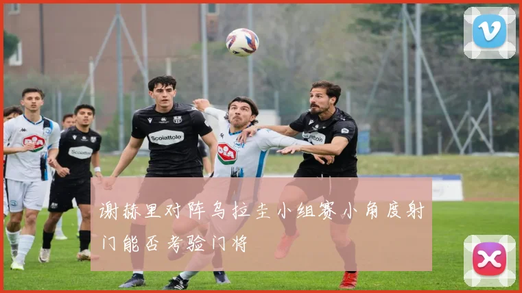 谢赫里对阵乌拉圭小组赛小角度射门能否考验门将