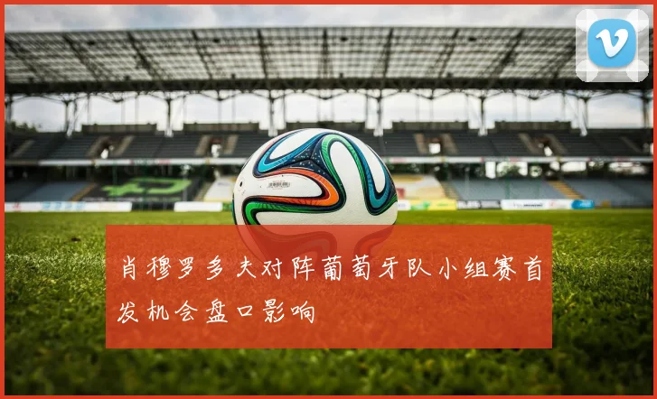 肖穆罗多夫对阵葡萄牙队小组赛首发机会盘口影响